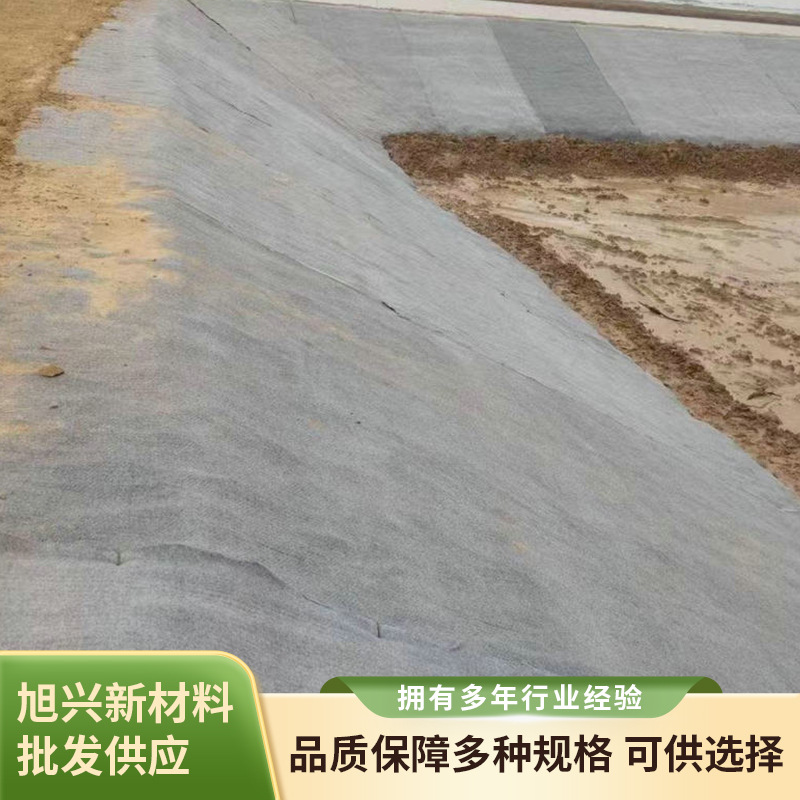 榆林河北邢台山体边坡水泥毯抢险加固项目